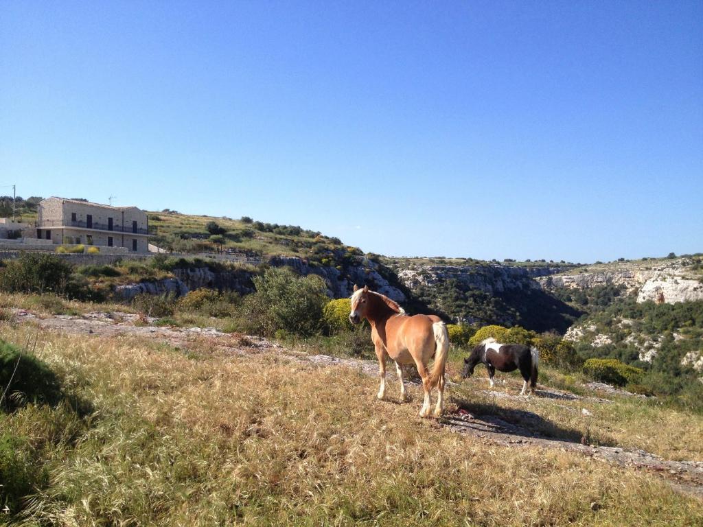 Pensjonat Casa Al Castello Ragusa Zewnętrze zdjęcie
